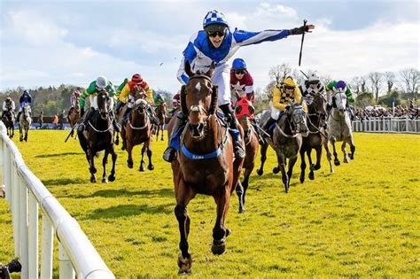 irish grand national odds60  A bumper field is expected to go to post in the